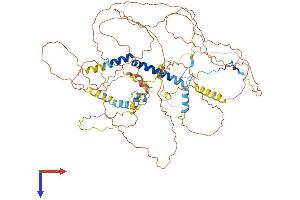 PPP1R15B Protein (AA 1-713) (His tag)
