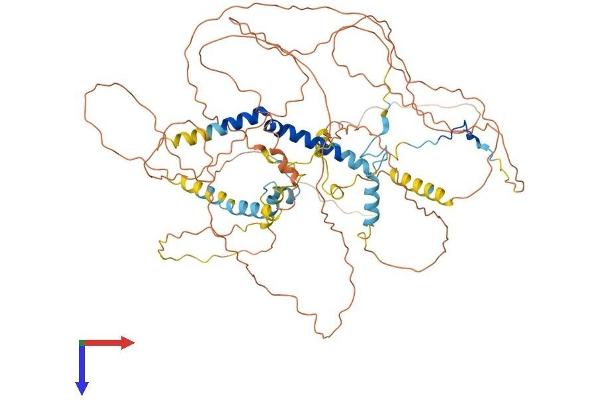 PPP1R15B Protein (AA 1-713) (His tag)