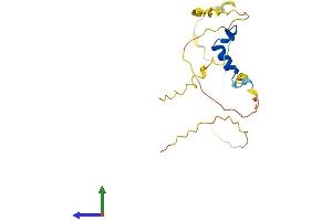 Protein Structure (PS) image for Cbp/p300-Interacting Transactivator, with Glu/Asp-Rich Carboxy-terminal Domain, 4 (CITED4) (AA 1-182) protein (His tag) (ABIN7556282)