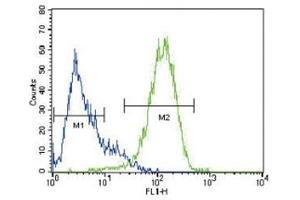 Flow Cytometry (FACS) image for anti-ATP-Binding Cassette, Sub-Family G (WHITE), Member 2 (ABCG2) (AA 305-335) antibody (ABIN3030062)