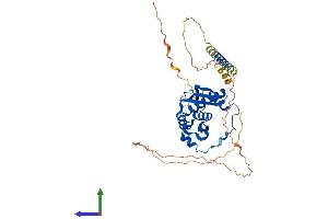 Protein Structure (PS) image for RAD52 Homolog (S. Cerevisiae) (RAD52) (AA 1-418) protein (His tag) (ABIN7551250)