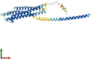 Protein Structure (PS) image for Syntaxin 2 (STX2) (AA 1-288) protein (His tag) (ABIN7546403)