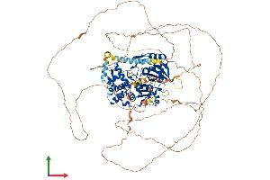 Protein Structure (PS) image for DENN/MADD Domain Containing 1A (DENND1A) (AA 1-1016) protein (His tag) (ABIN7564648)