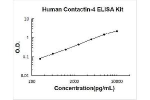 Contactin 4 (CNTN4) ELISA Kit