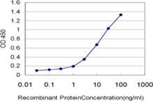 Detection limit for recombinant GST tagged OXSR1 is approximately 0. (OXSR1 抗体  (AA 1-527))
