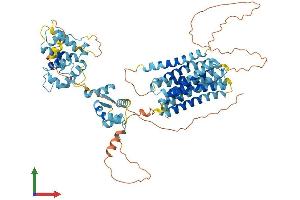 Protein Structure (PS) image for Solute Carrier Family 39 (Zinc Transporter), Member 12 (SLC39A12) (AA 1-691) protein (His tag) (ABIN7555387)