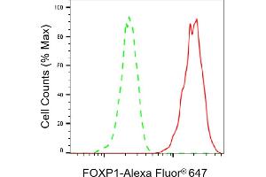 Flow cytometric analysis of FOXP1 expression in HT- cells using FOXP1 antibody (ABIN7798652), 1:2,000). (Recombinant FOXP1 抗体)