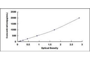 Typical standard curve (EGFL7 ELISA 试剂盒)