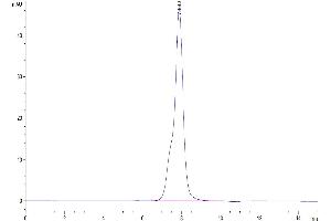 Size-exclusion chromatography-High Pressure Liquid Chromatography (SEC-HPLC) image for Osteoactivin (GPNMB) (AA 23-486) protein (His tag) (ABIN7274753)