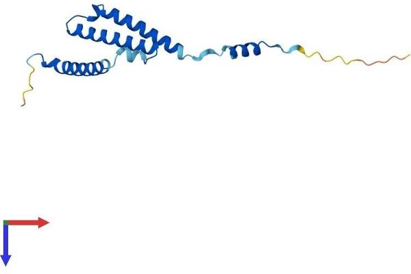 C1D Protein (AA 1-141) (His tag)