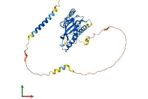 Protein Structure (PS) image for Ubiquitin-Conjugating Enzyme E2, J1, U (UBE2J1) (AA 1-318) protein (His tag) (ABIN7544862)