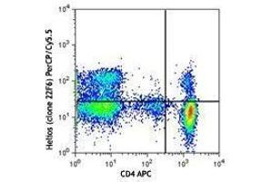 Flow Cytometry (FACS) image for anti-IKAROS Family Zinc Finger 2 (IKZF2) antibody (PerCP-Cy5.5) (ABIN2660194) (IKZF2 抗体  (PerCP-Cy5.5))