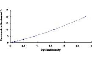 Retinoic Acid Receptor alpha ELISA 试剂盒