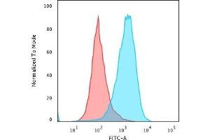 Flow Cytometric Analysis of paraformaldehyde-fixed Raji cells using CD45 Mouse Monoclonal Antibody (111-1C5) followed by Goat anti- Mouse- IgG-CF488 (Blue); Isotype Control (Red).