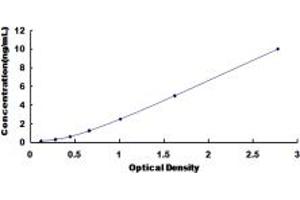 Typical standard curve (METAP2 ELISA 试剂盒)