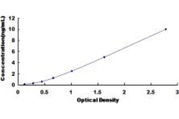 METAP2 ELISA 试剂盒