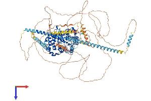 HDAC5 Protein (AA 1-1122) (His tag)