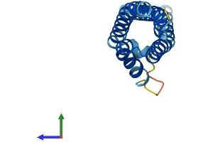 Protein Structure (PS) image for Cornichon Homolog 2 (CNIH2) (AA 1-160) protein (His tag) (ABIN7546621)