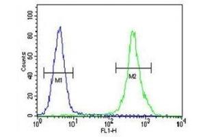 ZEB2 antibody flow cytometric analysis of MDA-MB435 cells (right histogram) compared to a negative control (left histogram). (ZEB2 抗体  (AA 1078-1105))