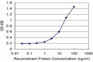 Detection limit for recombinant GST tagged CRY2 is approximately 1ng/ml as a capture antibody. (CRY2 抗体  (AA 141-231))
