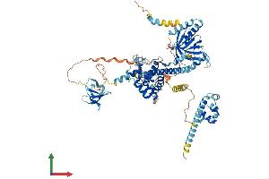 Protein Structure (PS) image for EPS8-Like 1 (EPS8L1) (AA 1-716) protein (His tag) (ABIN7559781)
