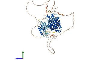Protein Structure (PS) image for MAP/microtubule Affinity-Regulating Kinase 4 (MARK4) (AA 1-752) protein (His tag) (ABIN7554503)