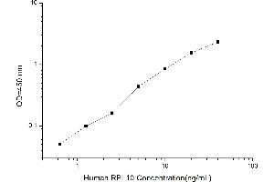 RPL10 ELISA 试剂盒