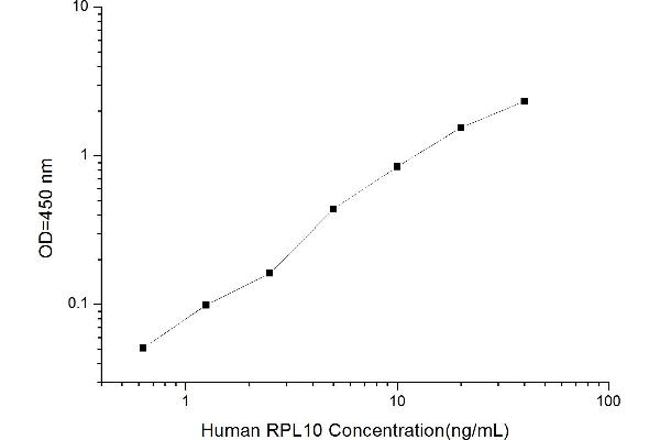 RPL10 ELISA 试剂盒