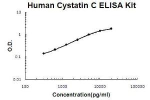 Human Cystatin C PicoKine ELISA Kit standard curve (CST3 ELISA 试剂盒)