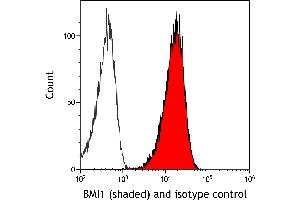Flow Cytometry (FACS) image for anti-BMI1 Polycomb Ring Finger Oncogene (BMI1) (AA 250-300) antibody (ABIN7455106)