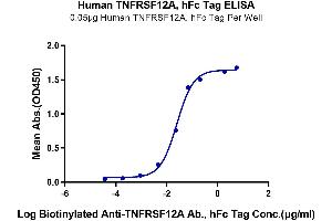 Immobilized Human TNFRSF12A, hFc Tag at 0.
