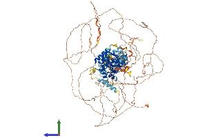 Protein Structure (PS) image for SEC16 Homolog B (SEC16B) (AA 1-1060) protein (His tag) (ABIN7555442)
