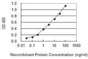 Detection limit for recombinant GST tagged ZNF585A is 0. (ZNF585A 抗体  (AA 1-113))