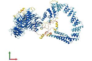 Protein Structure (PS) image for Elongator Complex Protein 1 (ELP1) (AA 1-1332) protein (His tag) (ABIN7553771)