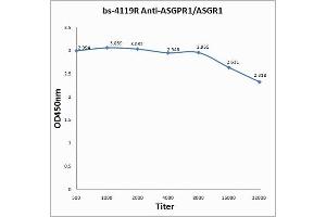 Antigen: 0. (Asialoglycoprotein Receptor 1 抗体  (AA 201-291))
