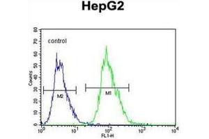 Flow Cytometry (FACS) image for anti-Olfactory Receptor, Family 4, Subfamily K, Member 5 (OR4K5) (AA 291-321), (C-Term) antibody (ABIN953861)