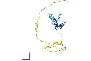 Protein Structure (PS) image for Small Nuclear Ribonucleoprotein Polypeptide C (SNRPC) (AA 1-159) protein (His tag) (ABIN7557772)