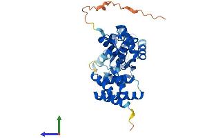 Protein Structure (PS) image for Replication Factor C (Activator 1) 2, 40kDa (RFC2) (AA 1-354) protein (His tag) (ABIN7551363)