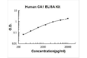 Carbonic Anhydrase I (CA1) ELISA Kit