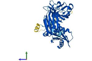 Protein Structure (PS) image for Adaptor-Related Protein Complex 3, mu 1 Subunit (AP3M1) (AA 1-418) protein (His tag) (ABIN7552167)