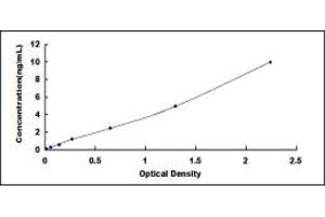 Typical standard curve (ADAM17 ELISA 试剂盒)