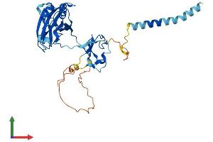 AlphaFold protein structure predicition of Human Recombinant CGRRF1 Protein, UniprotID Q99675 (CGR19 Protein (AA 1-332) (His tag))
