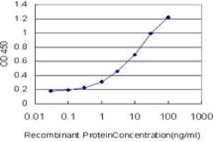 Detection limit for recombinant GST tagged CTNNAL1 is approximately 0. (CTNNAL1 抗体  (AA 277-380))