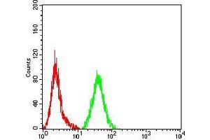 Flow cytometric analysis of Hela cells using MMP2 mouse mAb (green) and negative control (red). (MMP2 抗体  (AA 9-140))