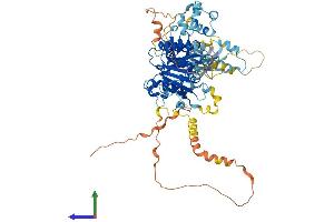 AlphaFold protein structure predicition of Mouse Recombinant Ddhd2 Protein, UniprotID Q80Y98
