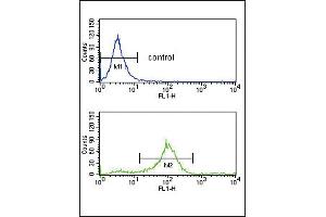 Flow cytometry analysis of K562 cells (bottom histogram) compared to a negative control cell (top histogram). (SFRP1 抗体  (N-Term))