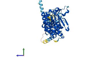 AlphaFold protein structure predicition of Mouse Recombinant Prim1 Protein, UniprotID P20664