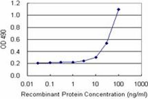 ALDH3A1 (Human) Matched Antibody Pair