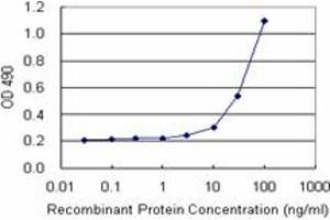 Sandwich ELISA detection sensitivity ranging from 3 ng/mL to 100 ng/mL. (ALDH3A1 (人) Matched Antibody Pair)