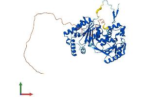 Protein Structure (PS) image for 6-phosphofructo-2-Kinase/fructose-2,6-Biphosphatase 3 (PFKFB3) (AA 1-520) protein (His tag) (ABIN7547648)